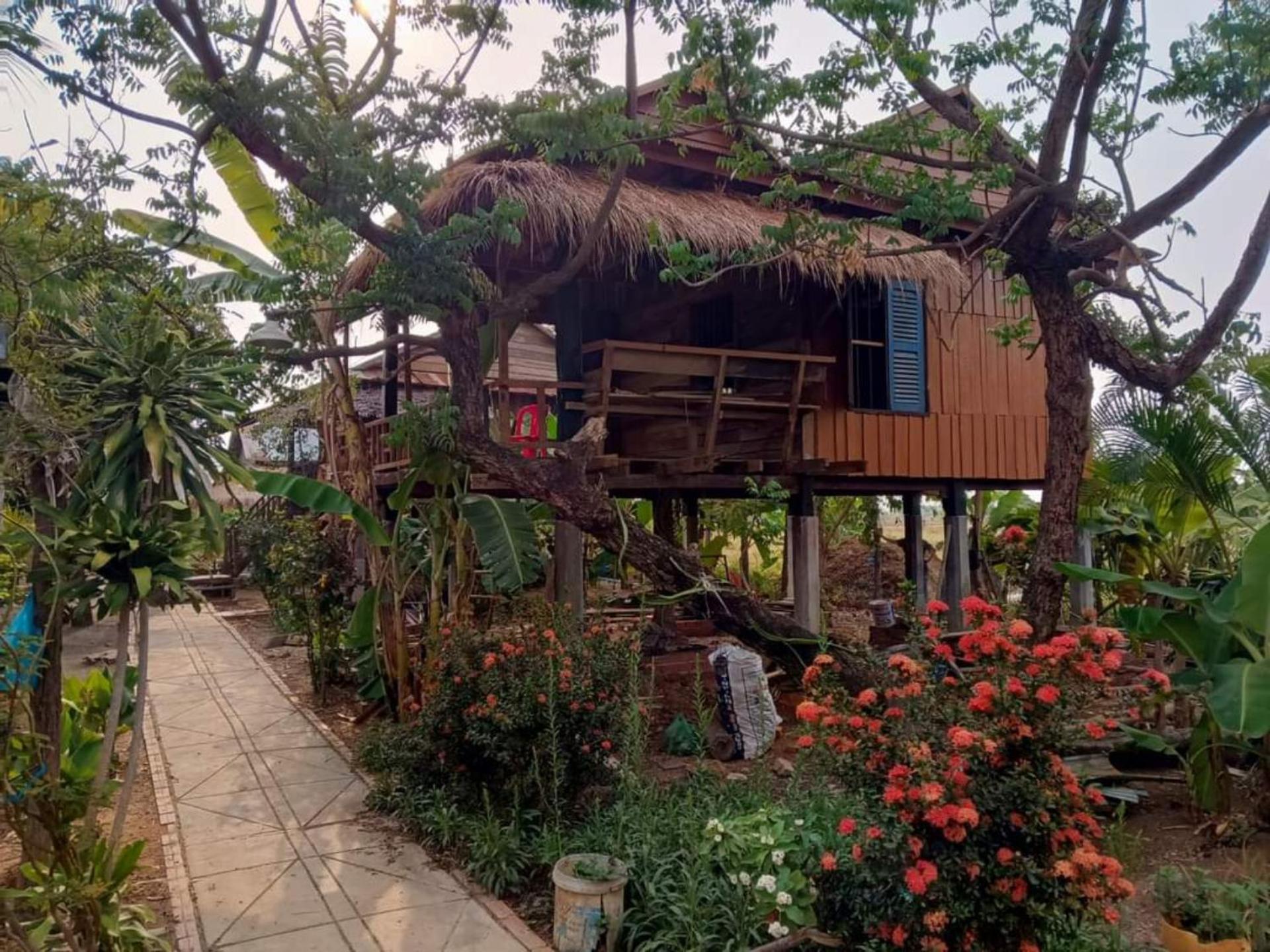 Family Batcave Homestay 马德望 外观 照片