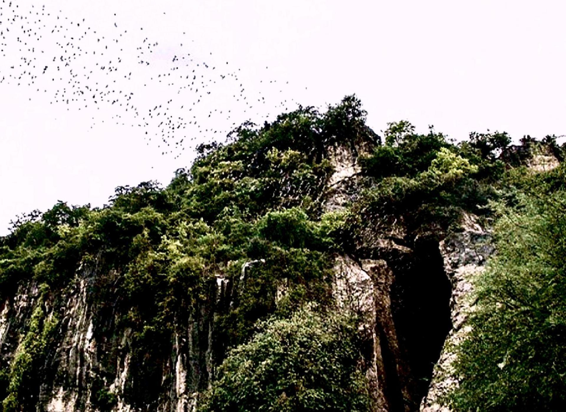 Family Batcave Homestay 马德望 外观 照片